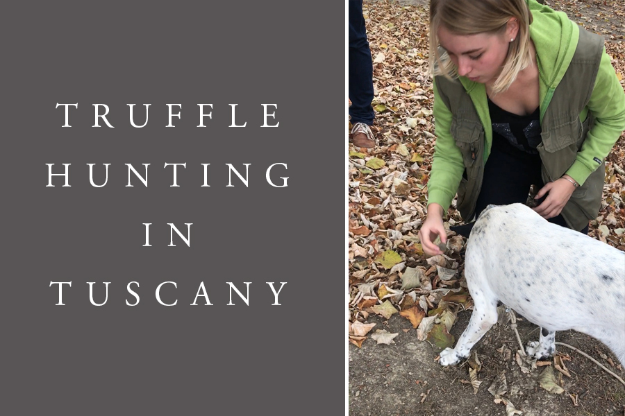 Ever wondered where truffles come from